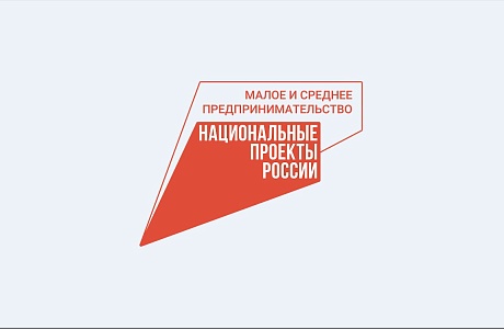 Объем госзакупок у региональных субъектов МСП вырос на 65%